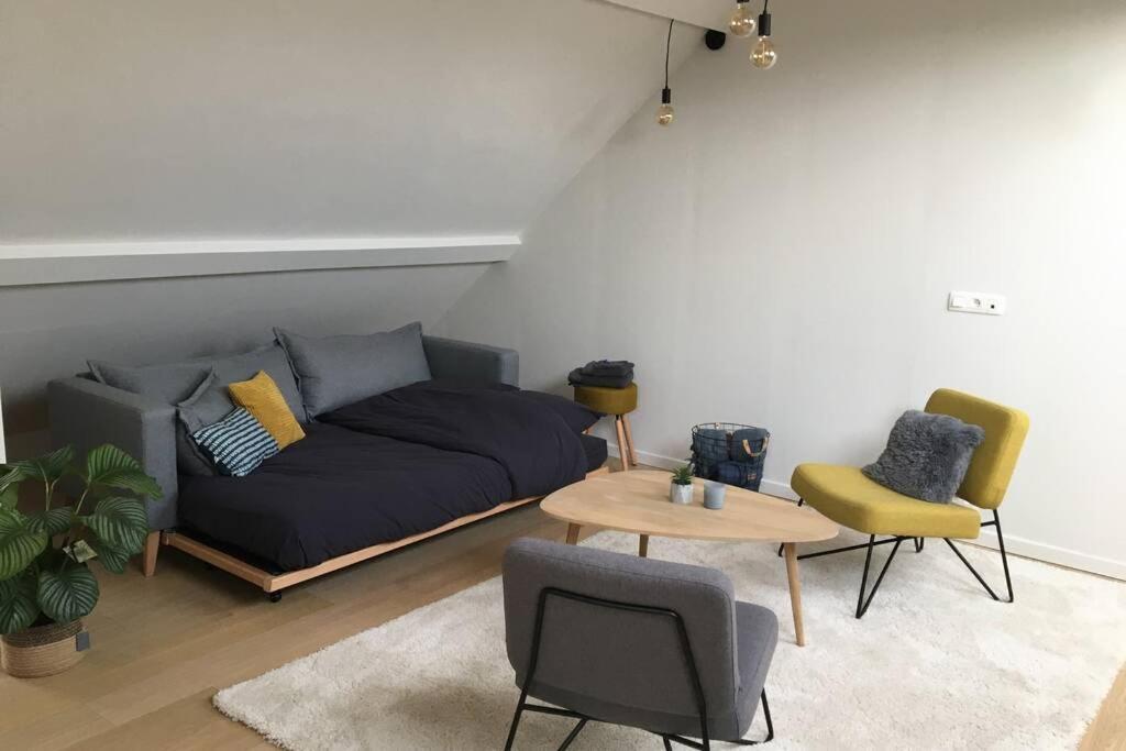 Studio2 Ename, Dakappartement In Vlaamse Ardennen 奥德纳尔德 外观 照片